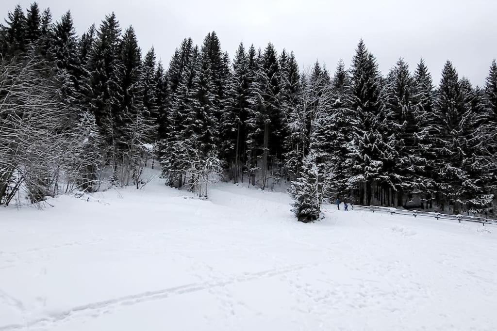 Cocon A Chatel Exterior photo